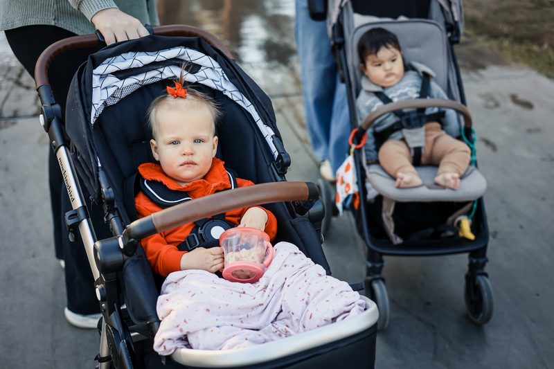 Organizers with strollers